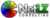 NetLZ Consulting LLC Logotype