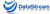 DataStream Networks Inc. Logo