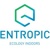 ENTROPIC Logotype