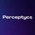 Perceptycs Logo