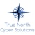 True North Cyber Solutions Logo