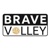 Brave Volley Logotype