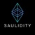 Saulidity Logo