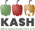 Kash Info Solution PVT LTD Logo