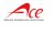 Ace Online Marketing Solutions Logo
