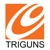 Triguns Logo
