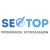 Seo Top Logo