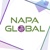 NAPA - IT Services and Consulting Logo