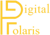 Digital Polaris Logo