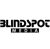 Blindspot Media-Digital Marketing Agency Logo