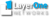 Layer One Networks Logo