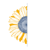 Sunflower Web Design and Branding Logo