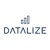 Datalize Ltd Logo