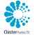 Clúster Puebla TIC Logo
