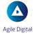 Agile Digital Engineering Pty Ltd Logo