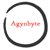 Agynbyte LLC Logo