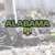 Alabama 811 Logo