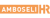 Amboseli HR Logo