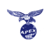 Apex Technology Group Inc., Logo