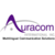 Auracom International Inc. Logo