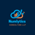 NUMLYTICS CONSULTING LLP Logo