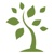 Green Olive Brand Management Logo