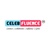 Celebfluence Logotype
