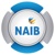 NAIB IT Logotype