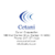 Cetani Corporation Logo