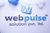 Webpulse Solution (P) Limited Logo