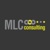 MLC Consulting Srl Logotype