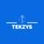 TEKZYS Logo