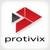 Protivix Business Solutions, LLC Logo