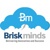 Briskminds Logo