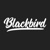 Blackbird Digital Logo