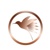 Follow the Hummingbird Consulting, PBC Logo