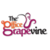 The Office Grapevine Logo