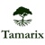 Tamarix Capital Logo