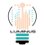 Luminus Data Solutions, LLC Logotype