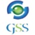 Global Staffing Solutions Logo