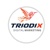 Triodix Logo