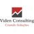 Viden Consulting Logo