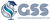 GSS Foreign Education Pvt. Ltd Logo