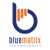 BlueMatrix Technologies Logo