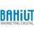 Bahiut Logo