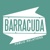 Barracuda Public Relations Logo