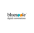 BlueApple Technologies Pvt Ltd Logo