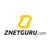 ZnetGuru - Web Design Logo