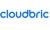 Cloudbric Logo