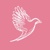 Maclaren Jones Design and Marketing Logotype